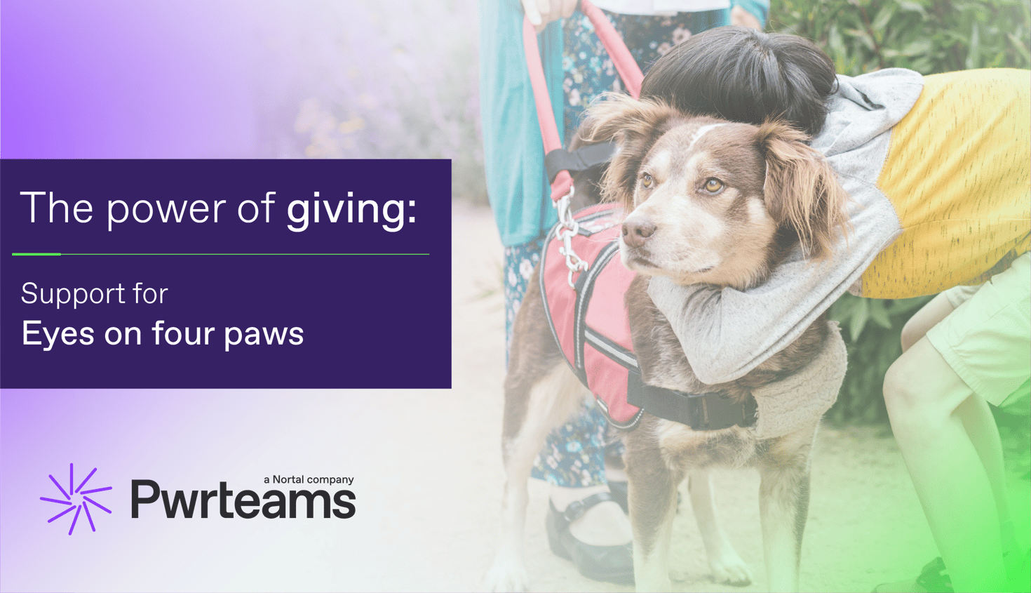 The power of giving: support for Eyes on four paws